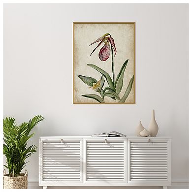 Amanti Art Elegance Unveiled II by Jacob q Framed Canvas Wall Art Print