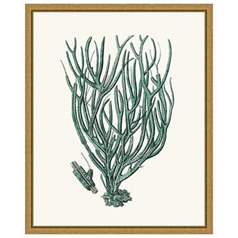 Amanti Art Antique Coastal Coral VIII by Johann Esper Framed Canvas Wall Art Print