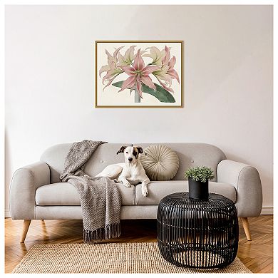 Amaryllis Varietals I by Bette Ridgeway Framed Canvas Wall Art Print