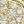 Gold Tone