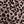Mocha Layered Leo