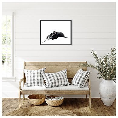 Asher III by Emily Kalina Framed Canvas Wall Art Print