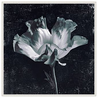 Aurora Blooms III by Sia Aryai Framed Canvas Wall Art Print