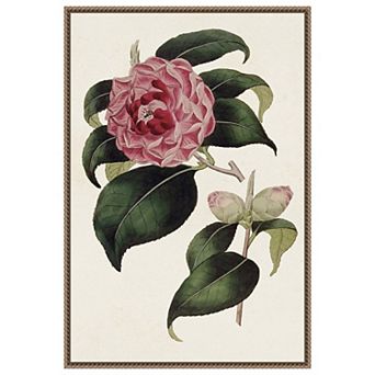 Pink Floral Mix III by Bette Ridgeway Framed Canvas Wall Art Print
