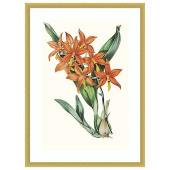 Tropicals IV by Jennifer Paxton Parker Wood Framed Wall Art Print