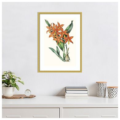 Tropicals IV by Jennifer Paxton Parker Wood Framed Wall Art Print