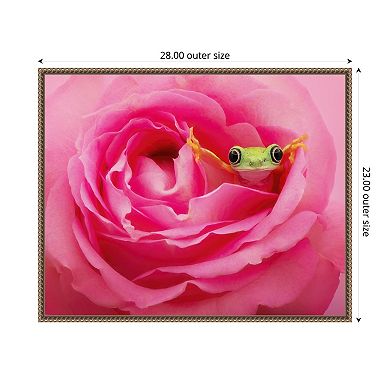 Hanging On VIII by PHBurchett Framed Canvas Wall Art Print