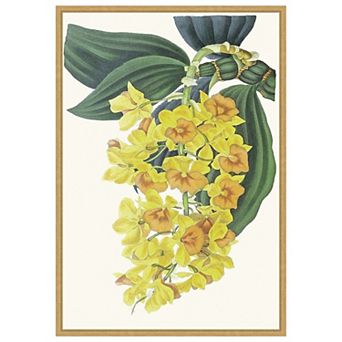 Tropicals VIII by Jennifer Paxton Parker Framed Canvas Wall Art Print