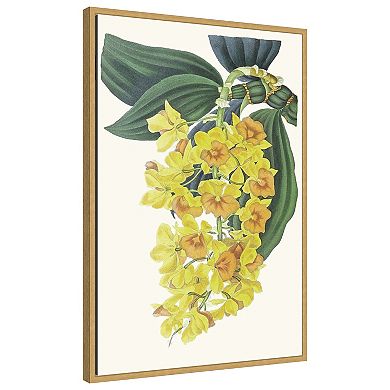 Tropicals VIII by Jennifer Paxton Parker Framed Canvas Wall Art Print