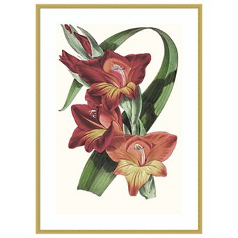 Tropicals II by Jennifer Paxton Parker Wood Framed Wall Art Print
