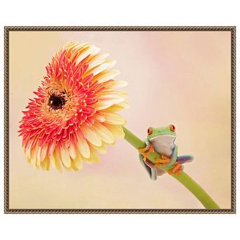 Hanging On IX by PHBurchett Framed Canvas Wall Art Print