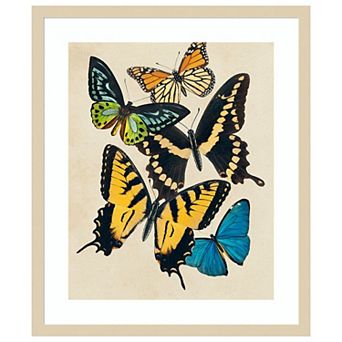 Collaged Butterflies II by Victoria Barnes Wood Framed Wall Art Print
