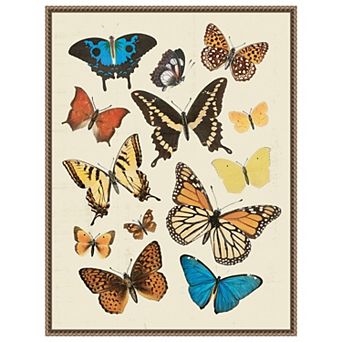 Collected Flutter II by Victoria Barnes Framed Canvas Wall Art Print