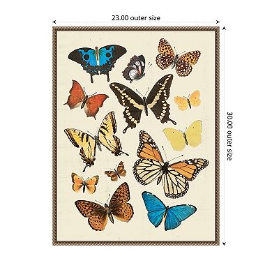 Collected Flutter II by Victoria Barnes Framed Canvas Wall Art Print