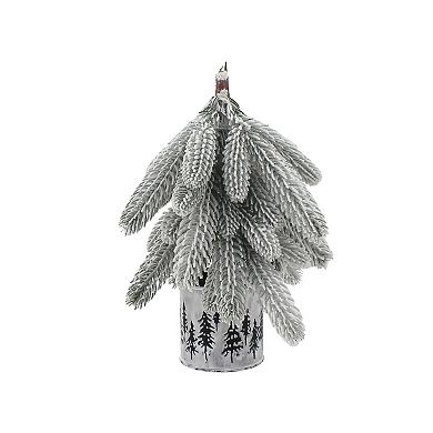 St. Nicholas Square® Downswept Pine in Metal Pot