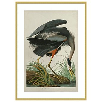 Great Blue Heron in Pearl White by John James Audubon Wood Framed Wall Art Print