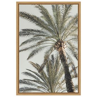 Palm 005 by Pictufy Studio III Framed Canvas Wall Art Print