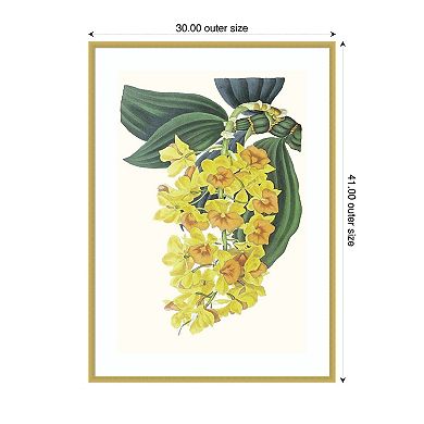 Tropicals VIII by Jennifer Paxton Parker Wood Framed Wall Art Print