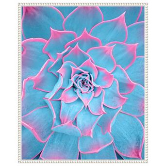 Blue and Pink Succulent by Tom Windeknecht Framed Canvas Wall Art Print