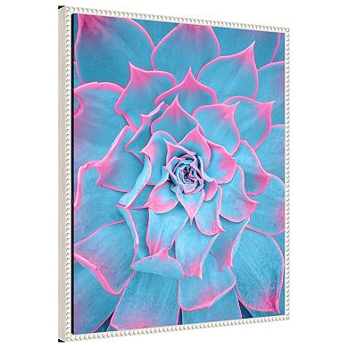 Blue and Pink Succulent by Tom Windeknecht Framed Canvas Wall Art Print