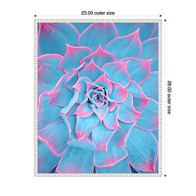 Blue and Pink Succulent by Tom Windeknecht Framed Canvas Wall Art Print