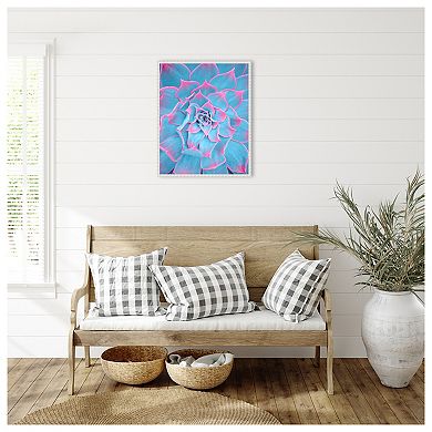 Blue and Pink Succulent by Tom Windeknecht Framed Canvas Wall Art Print