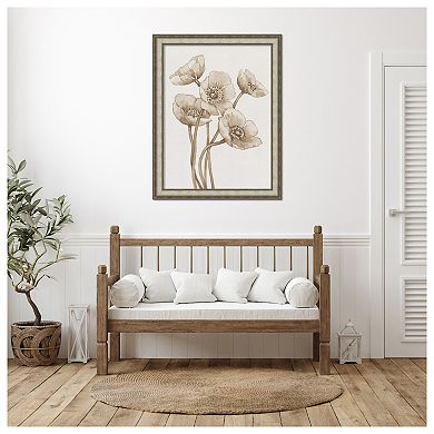 Poppies in Sepia II by Tim Otoole Wood Framed Wall Art Print