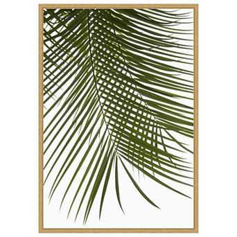 Palm Leaves Foliage Photo IV by Amini54 Framed Canvas Wall Art Print