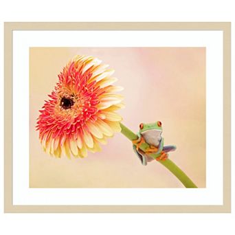 Hanging On IX by PHBurchett Wood Framed Wall Art Print