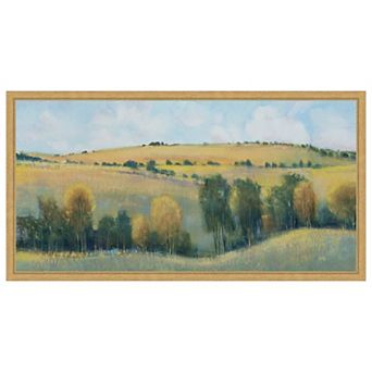 Valley Field I by Tim Otoole Framed Canvas Wall Art Print