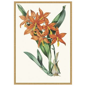 Tropicals IV by Jennifer Paxton Parker Framed Canvas Wall Art Print