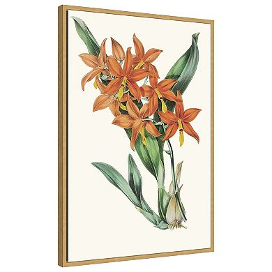 Tropicals IV by Jennifer Paxton Parker Framed Canvas Wall Art Print