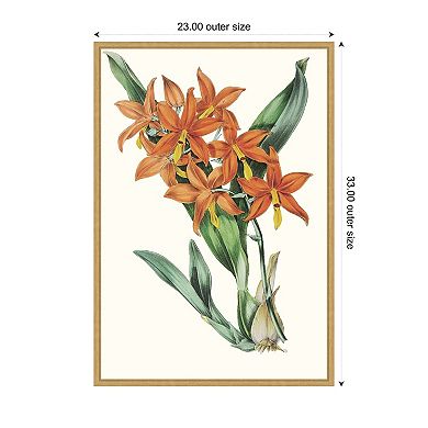 Tropicals IV by Jennifer Paxton Parker Framed Canvas Wall Art Print