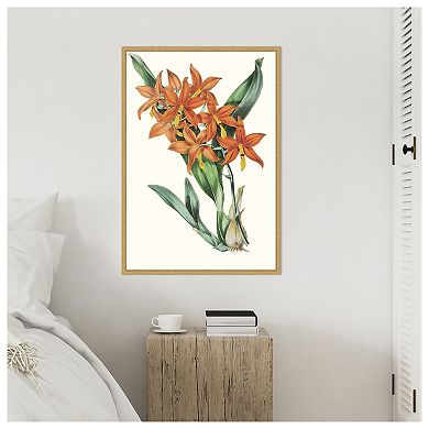 Tropicals IV by Jennifer Paxton Parker Framed Canvas Wall Art Print