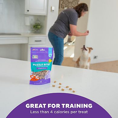 Outward Hound Puzzle Bitez Pumpkin Flavor Training Treats