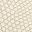 Bone Lizard