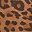 Leopard Camel