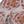 Blush Floral Print