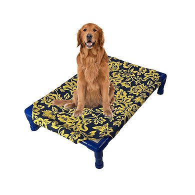 Truman + Teddy (Sunny Day) Easy-to-clean Handcrafted Elevated, Cot-Style Dog Bed 