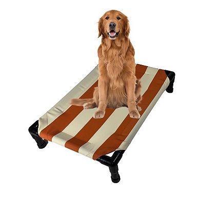 Truman + Teddy (Canyon) Easy-to-clean Handcrafted Elevated, Cot-Style Dog Bed 