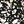 Black Speckle