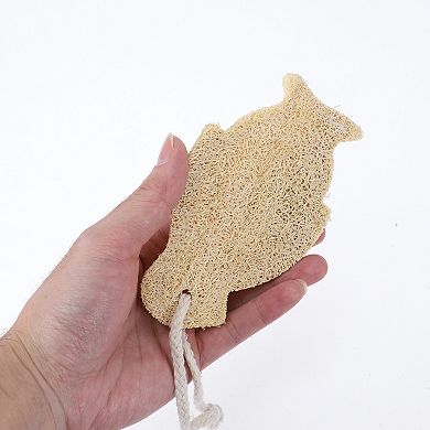 2 Pcs Non-Scratch Kitchen Sponge for Home