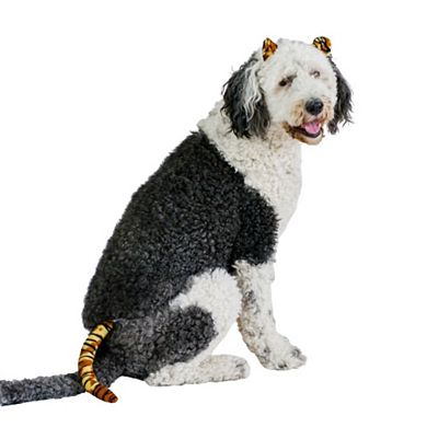 Midlee Tiger Dog Costume Headband & Tail