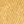 Washed Gold