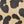 Animal Print