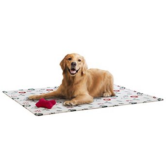 Friends Forever Dog Pet Throw Blanket & Bone Toy Set