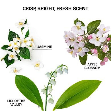 Insta-Wow Advanced Dry Shampoo