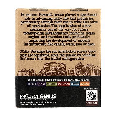 Project Genius Bolts of Pompeii Interlocking Metal Burr Puzzle