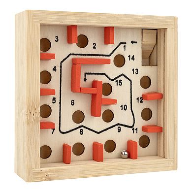Project Genius Coral Maze Ball Bearing Puzzle