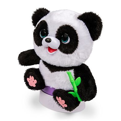 Little Live Pets My Baby Panda Interactive Plush Toy